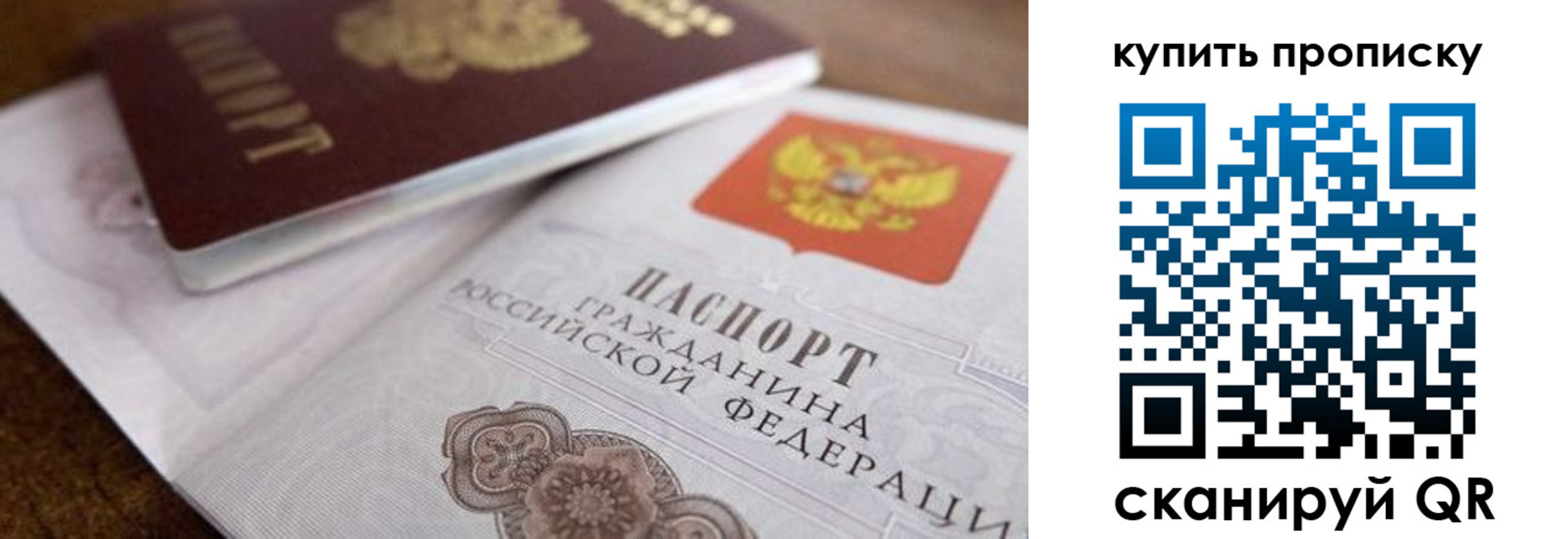 прописка гарантия в Тольятти